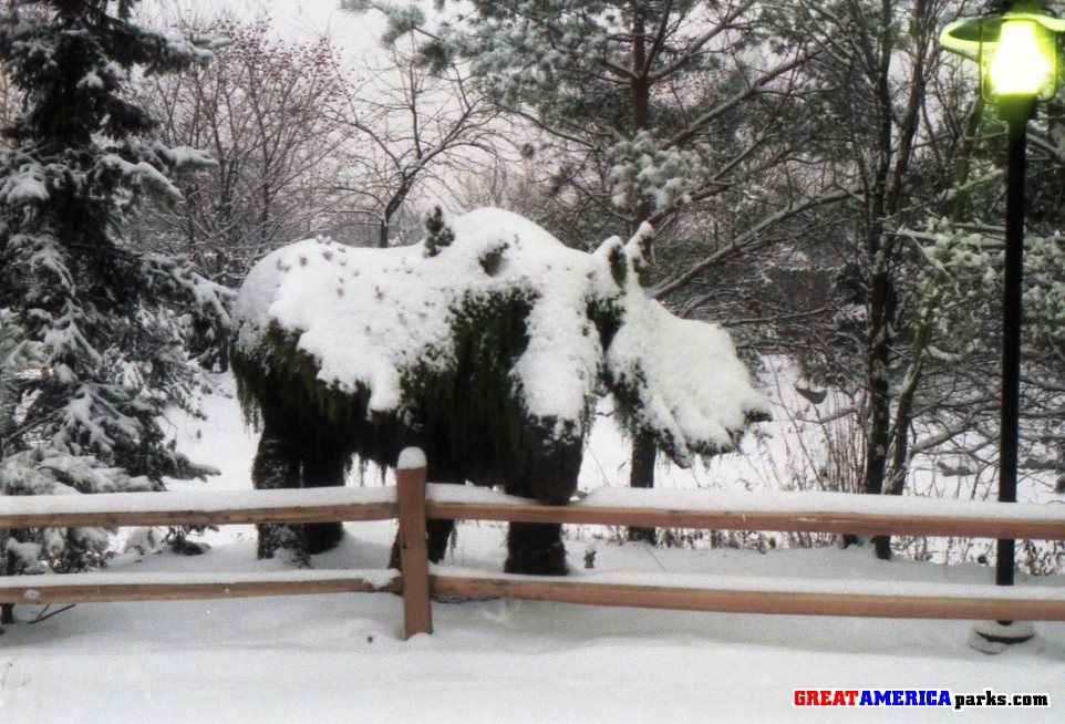 Snowy Moose
