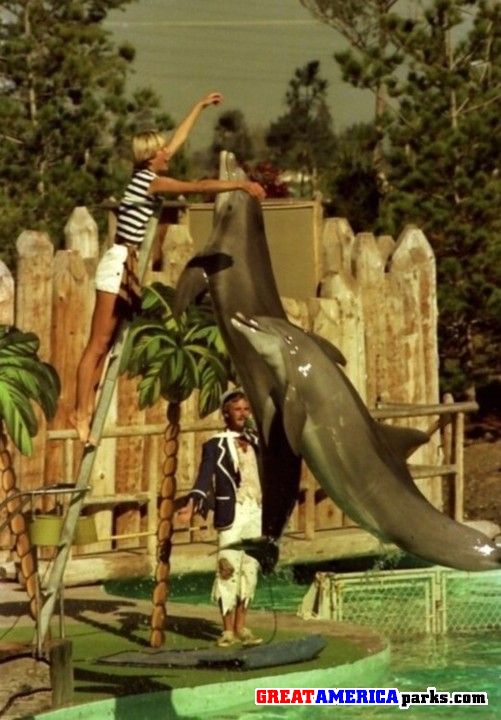 Dolphin show, skip & boogie!
