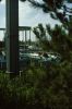 Filename=Logger_s_Run-22.jpg
Filesize=88KiB
Dimensions=529x800
Date added=Oct 16, 2007 Logger_s_Run-22.jpg